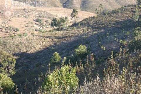 Farm i Silves, Faro, Silves - € 1.200.000 | Ref: AR00324-PT - foto 46