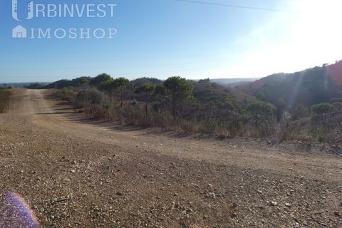 Farm i Silves, Faro, Silves - € 1.200.000 | Ref: AR00324-PT - foto 47