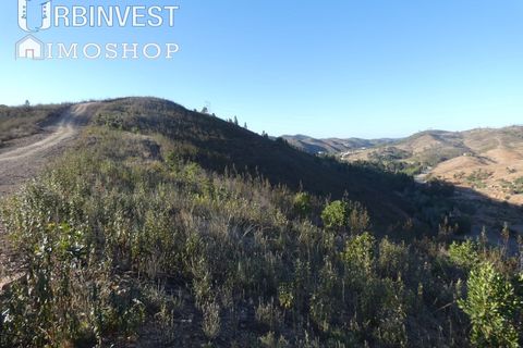 Farm i Silves, Faro, Silves - € 1.200.000 | Ref: AR00324-PT - foto 48