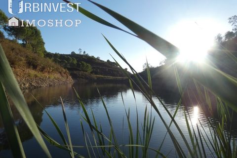Farm i Silves, Faro, Silves - € 1.200.000 | Ref: AR00324-PT - foto 50