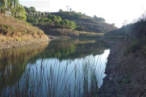 Farm i Silves, Faro, Silves - € 1.200.000 | Ref: AR00324-PT - foto 5