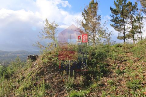 Helårsgrund i Vila Verde, Braga, Vila Verde - € 65.000 | Ref: 07579 - foto 5