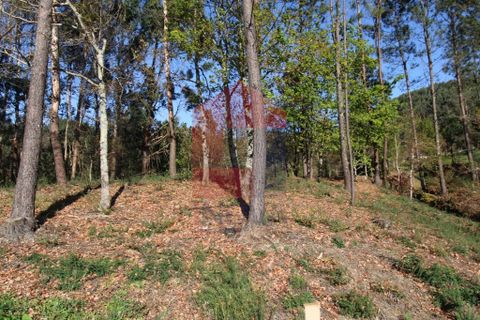 Helårsgrund i Vila Verde, Braga, Vila Verde - € 65.000 | Ref: 07579 - foto 7