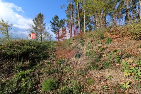 Helårsgrund i Vila Verde, Braga, Vila Verde - € 65.000 | Ref: 07579 - foto 10