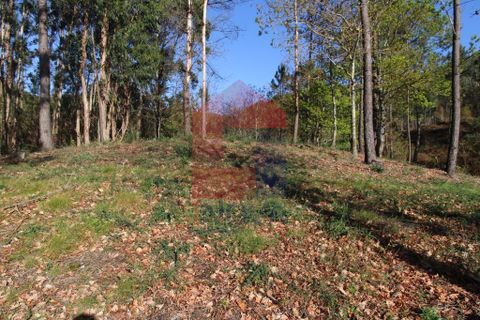 Helårsgrund i Vila Verde, Braga, Vila Verde - € 65.000 | Ref: 07579 - foto 11