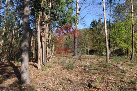 Helårsgrund i Vila Verde, Braga, Vila Verde - € 65.000 | Ref: 07579 - foto 13