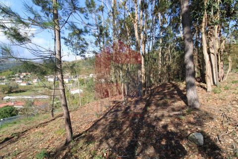 Helårsgrund i Vila Verde, Braga, Vila Verde - € 65.000 | Ref: 07579 - foto 14