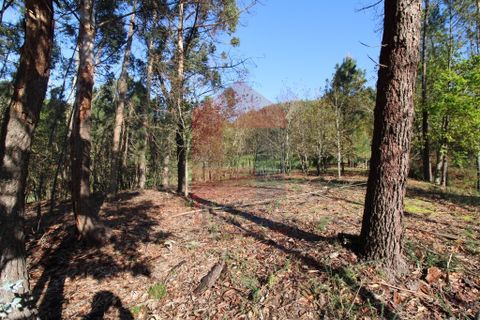 Helårsgrund i Vila Verde, Braga, Vila Verde - € 65.000 | Ref: 07579 - foto 16