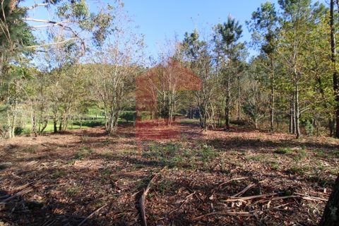 Helårsgrund i Vila Verde, Braga, Vila Verde - € 65.000 | Ref: 07579 - foto 18