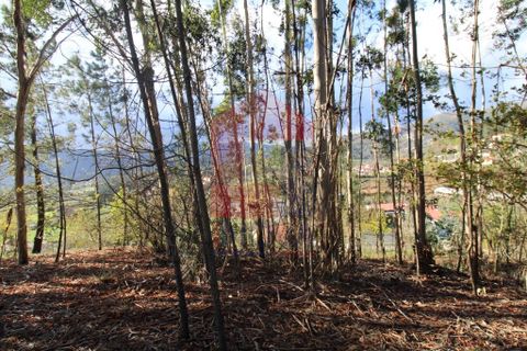 Helårsgrund i Vila Verde, Braga, Vila Verde - € 65.000 | Ref: 07579 - foto 19