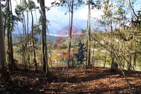 Helårsgrund i Vila Verde, Braga, Vila Verde - € 65.000 | Ref: 07579 - foto 20