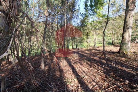 Helårsgrund i Vila Verde, Braga, Vila Verde - € 65.000 | Ref: 07579 - foto 21