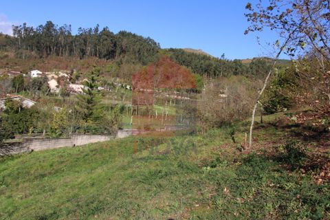Helårsgrund i Vila Verde, Braga, Vila Verde - € 65.000 | Ref: 07579 - foto 26