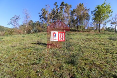 Helårsgrund i Vila Verde, Braga, Vila Verde - € 65.000 | Ref: 07579 - foto 27