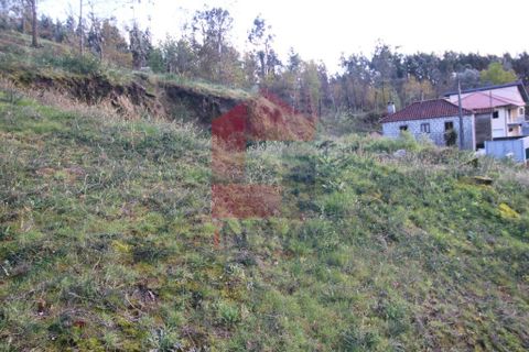 Helårsgrund i Vila Verde, Braga, Vila Verde - € 65.000 | Ref: 07579 - foto 30
