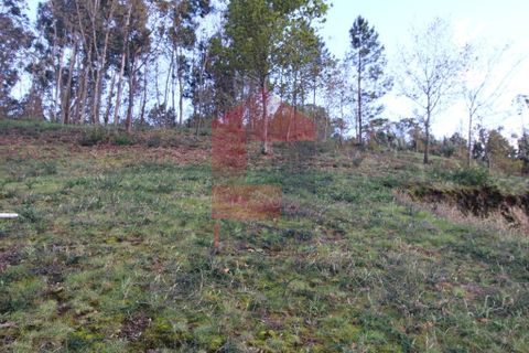 Helårsgrund i Vila Verde, Braga, Vila Verde - € 65.000 | Ref: 07579 - foto 31