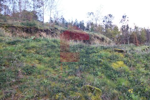 Helårsgrund i Vila Verde, Braga, Vila Verde - € 65.000 | Ref: 07579 - foto 32