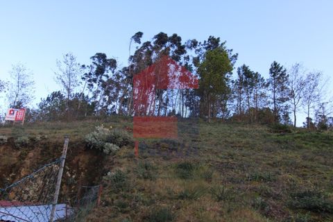 Helårsgrund i Vila Verde, Braga, Vila Verde - € 65.000 | Ref: 07579 - foto 33
