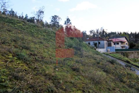 Helårsgrund i Vila Verde, Braga, Vila Verde - € 65.000 | Ref: 07579 - foto 34