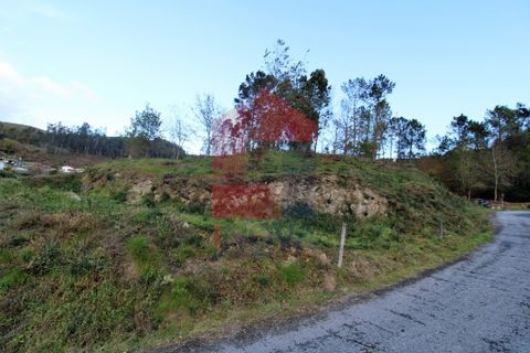 Helårsgrund i Vila Verde, Braga, Vila Verde - € 65.000 | Ref: 07579 - foto 44