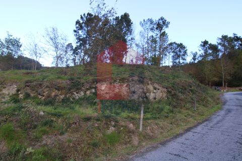 Helårsgrund i Vila Verde, Braga, Vila Verde - € 65.000 | Ref: 07579 - foto 45
