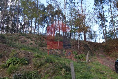 Helårsgrund i Vila Verde, Braga, Vila Verde - € 65.000 | Ref: 07579 - foto 47