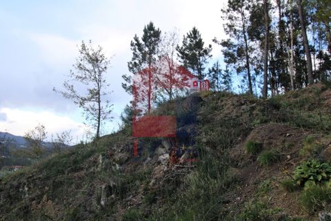 Helårsgrund i Vila Verde, Braga, Vila Verde - € 65.000 | Ref: 07579 - foto 48