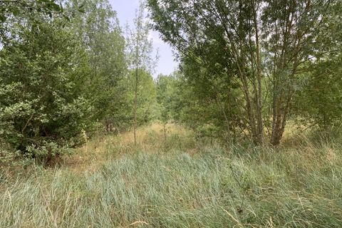 Terra a Pieusse, Aude, Pieusse - € 55.000 | Ref: 6768527 - foto 3
