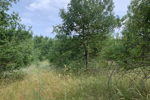 Terra a Pieusse, Aude, Pieusse - € 55.000 | Ref: 6768527 - foto 4