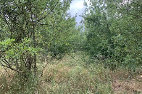 Terra a Pieusse, Aude, Pieusse - € 55.000 | Ref: 6768527 - foto 5