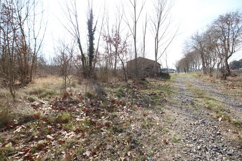 Terra a Pieusse, Aude, Pieusse - € 55.000 | Ref: 6768527 - foto 6