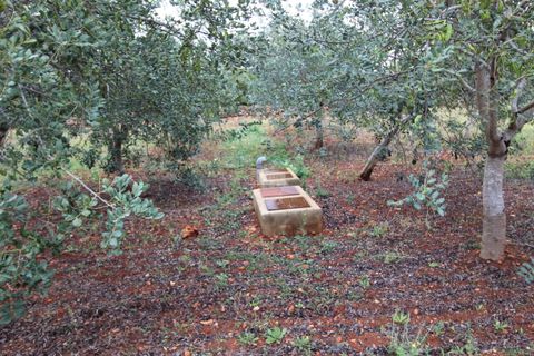 Villa i Faro, Faro, Faro - € 1.200.000 | Ref: A150003 - foto 17