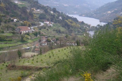 Farm i Penhalonga e Pacos de Gaiolo, Porto, Penhalonga e Pacos de Gaiolo - € 299.000 | Ref: MAS_7 - foto 3