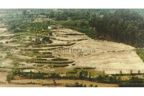 Farm i Penhalonga e Pacos de Gaiolo, Porto, Penhalonga e Pacos de Gaiolo - € 299.000 | Ref: MAS_7 - foto 5