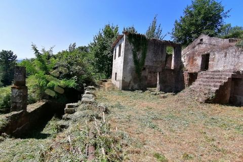Farm i Penhalonga e Pacos de Gaiolo, Porto, Penhalonga e Pacos de Gaiolo - € 299.000 | Ref: MAS_7 - foto 7