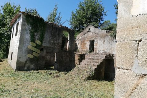 Farm i Penhalonga e Pacos de Gaiolo, Porto, Penhalonga e Pacos de Gaiolo - € 299.000 | Ref: MAS_7 - foto 9