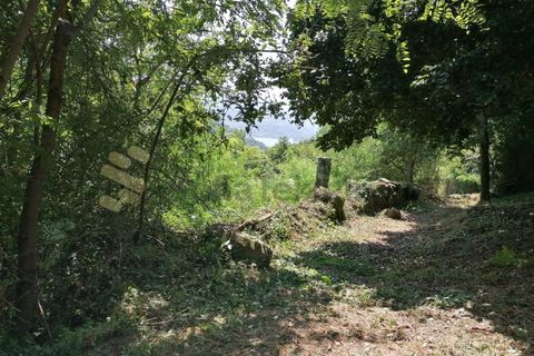 Farm i Penhalonga e Pacos de Gaiolo, Porto, Penhalonga e Pacos de Gaiolo - € 299.000 | Ref: MAS_7 - foto 11