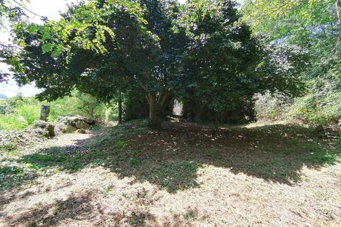 Farm i Penhalonga e Pacos de Gaiolo, Porto, Penhalonga e Pacos de Gaiolo - € 299.000 | Ref: MAS_7 - foto 28
