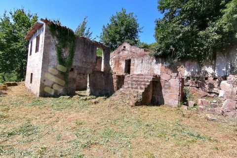 Farm i Penhalonga e Pacos de Gaiolo, Porto, Penhalonga e Pacos de Gaiolo - € 299.000 | Ref: MAS_7 - foto 16