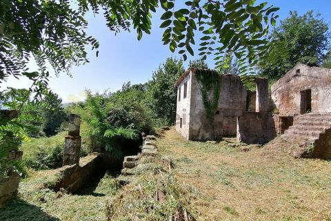Farm i Penhalonga e Pacos de Gaiolo, Porto, Penhalonga e Pacos de Gaiolo - € 299.000 | Ref: MAS_7 - foto 12