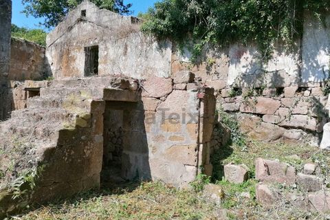 Farm i Penhalonga e Pacos de Gaiolo, Porto, Penhalonga e Pacos de Gaiolo - € 299.000 | Ref: MAS_7 - foto 13