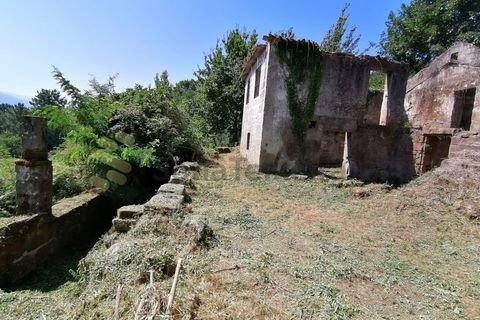 Farm i Penhalonga e Pacos de Gaiolo, Porto, Penhalonga e Pacos de Gaiolo - € 299.000 | Ref: MAS_7 - foto 15
