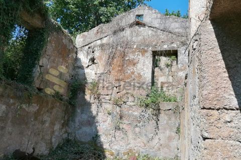 Farm i Penhalonga e Pacos de Gaiolo, Porto, Penhalonga e Pacos de Gaiolo - € 299.000 | Ref: MAS_7 - foto 17