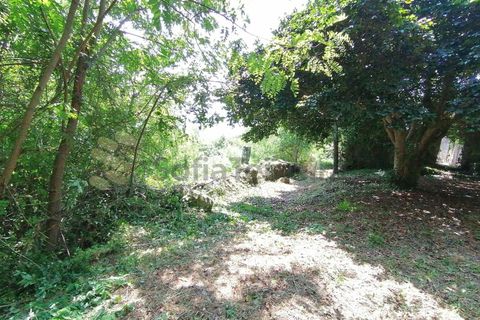 Farm i Penhalonga e Pacos de Gaiolo, Porto, Penhalonga e Pacos de Gaiolo - € 299.000 | Ref: MAS_7 - foto 29