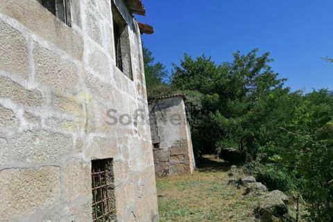 Farm i Penhalonga e Pacos de Gaiolo, Porto, Penhalonga e Pacos de Gaiolo - € 299.000 | Ref: MAS_7 - foto 14