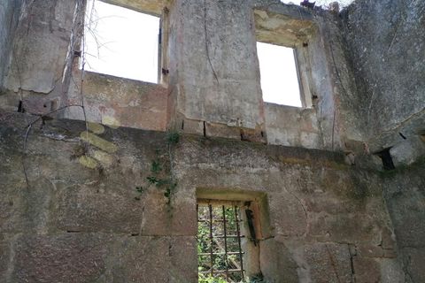 Farm i Penhalonga e Pacos de Gaiolo, Porto, Penhalonga e Pacos de Gaiolo - € 299.000 | Ref: MAS_7 - foto 20
