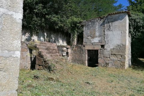 Farm i Penhalonga e Pacos de Gaiolo, Porto, Penhalonga e Pacos de Gaiolo - € 299.000 | Ref: MAS_7 - foto 22
