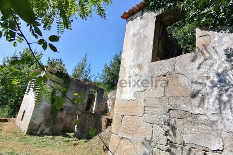 Farm i Penhalonga e Pacos de Gaiolo, Porto, Penhalonga e Pacos de Gaiolo - € 299.000 | Ref: MAS_7 - foto 21