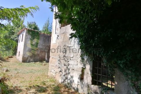 Farm i Penhalonga e Pacos de Gaiolo, Porto, Penhalonga e Pacos de Gaiolo - € 299.000 | Ref: MAS_7 - foto 6