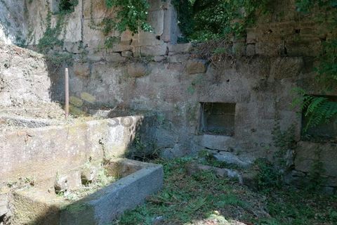 Farm i Penhalonga e Pacos de Gaiolo, Porto, Penhalonga e Pacos de Gaiolo - € 299.000 | Ref: MAS_7 - foto 25